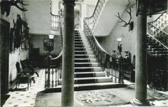 Summerfield-interior